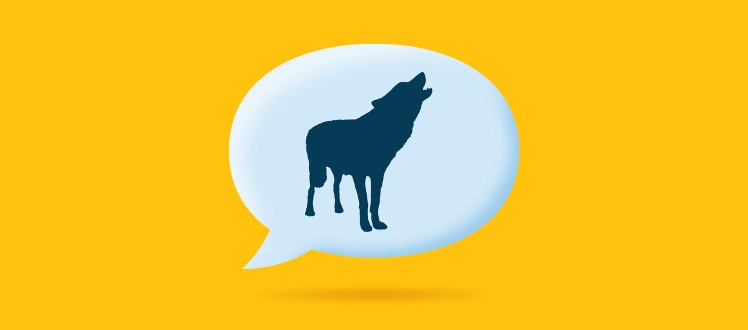 Howling wolf in a text bubble on a yellow background